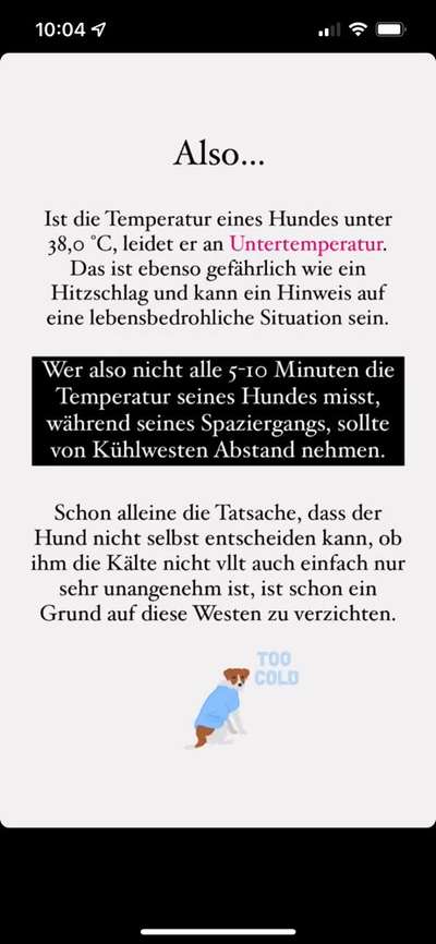 Französische Bulldoggen-Beitrag-Bild