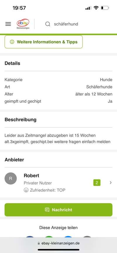 Alles rund um den Schäferhund, diskutieren erwünscht.-Beitrag-Bild