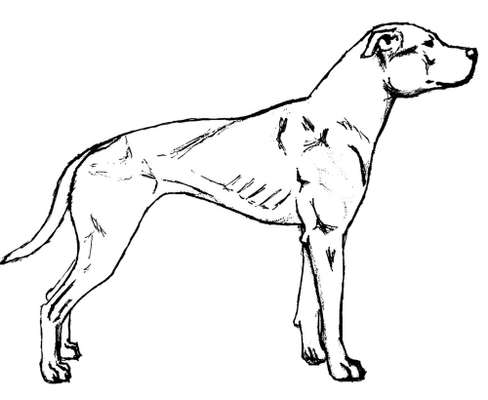 Der Gewichts-Thread-Beitrag-Bild