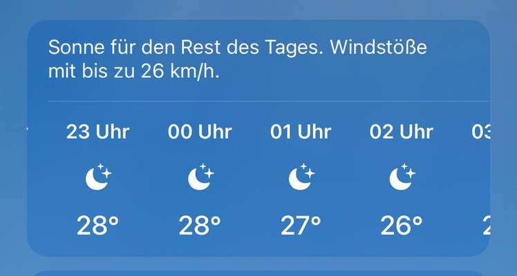 Alles rund um den Schäferhund, diskutieren erwünscht.-Beitrag-Bild