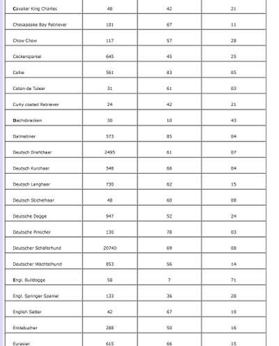 HD Statistik (oder: warum auch du deinen Hund testen lassen solltest)-Beitrag-Bild