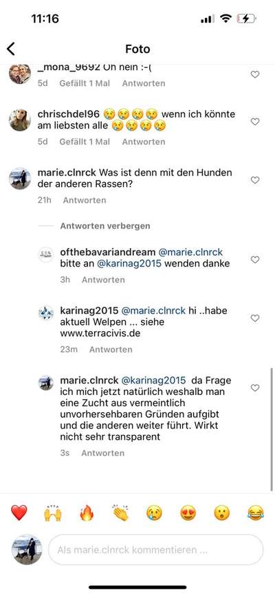 Alles rund um den Schäferhund, diskutieren erwünscht.-Beitrag-Bild