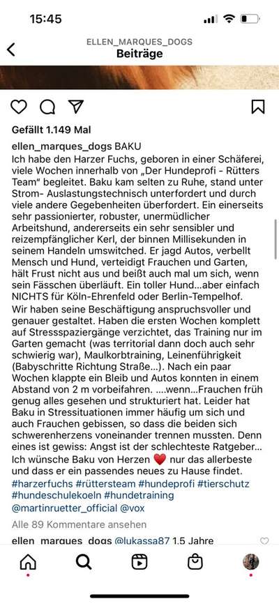 Alles rund um den Schäferhund, diskutieren erwünscht.-Beitrag-Bild