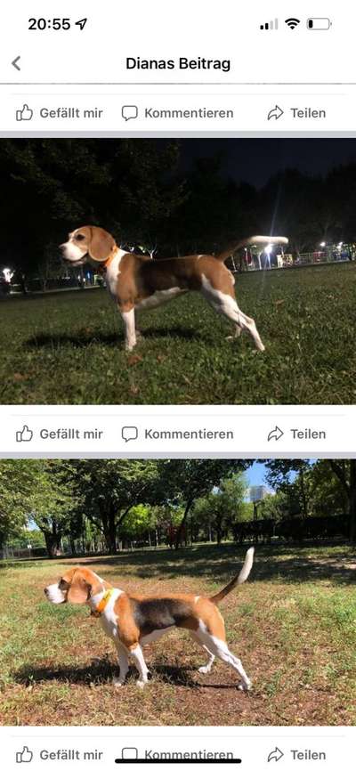 Der Gewichts-Thread-Beitrag-Bild