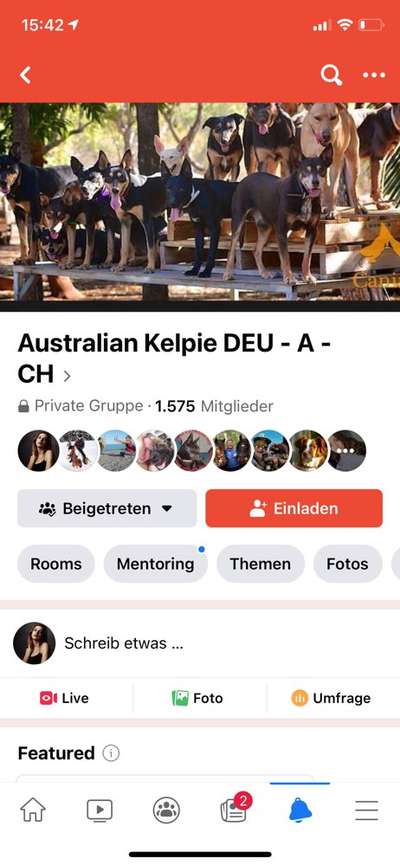 Alles rund um den Schäferhund, diskutieren erwünscht.-Beitrag-Bild