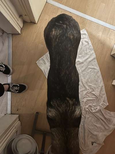 Der Gewichts-Thread-Beitrag-Bild