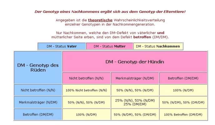 Alles rund um den Schäferhund, diskutieren erwünscht.-Beitrag-Bild
