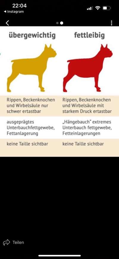 Der Gewichts-Thread-Beitrag-Bild