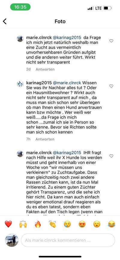 Alles rund um den Schäferhund, diskutieren erwünscht.-Beitrag-Bild