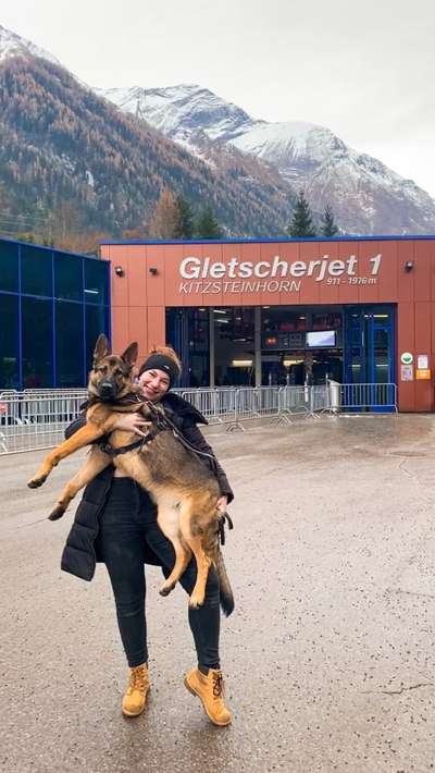 Alles rund um den Schäferhund, diskutieren erwünscht.-Beitrag-Bild