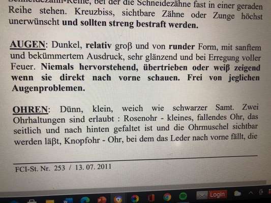 Von Ups-Würfen und der Corona Zeit-Beitrag-Bild