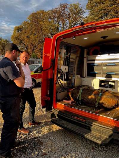 Alles rund um den Schäferhund, diskutieren erwünscht.-Beitrag-Bild