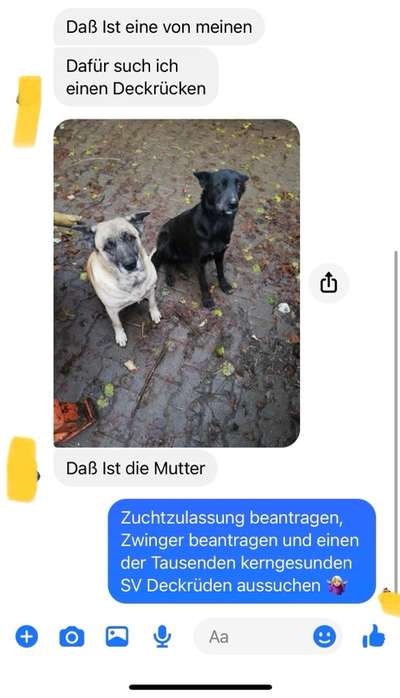 Alles rund um den Schäferhund, diskutieren erwünscht.-Beitrag-Bild