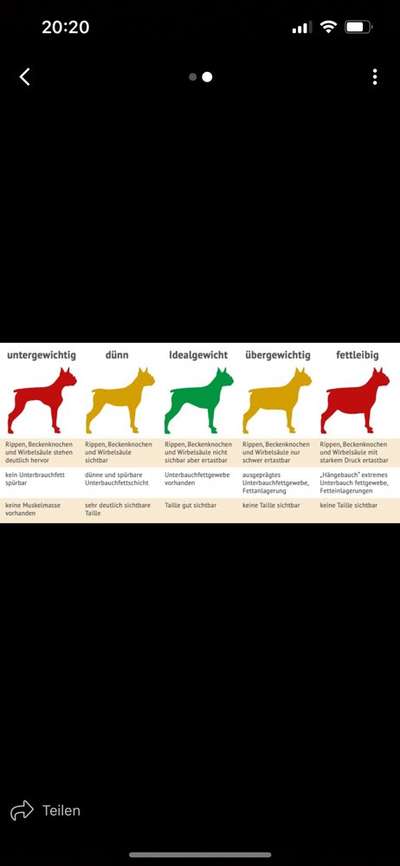 Der Gewichts-Thread-Beitrag-Bild