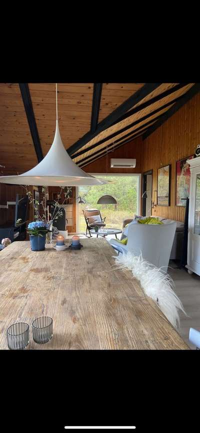 Alles rund um den Schäferhund, diskutieren erwünscht.-Beitrag-Bild