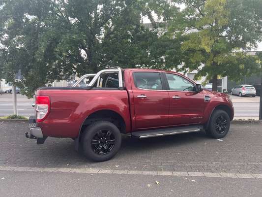 Alles rund um den Schäferhund, diskutieren erwünscht.-Beitrag-Bild