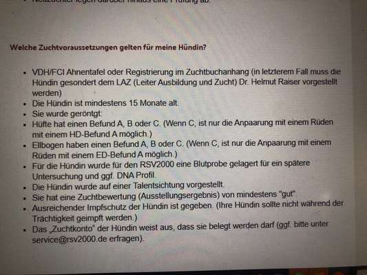 Alles rund um den Schäferhund, diskutieren erwünscht.-Beitrag-Bild