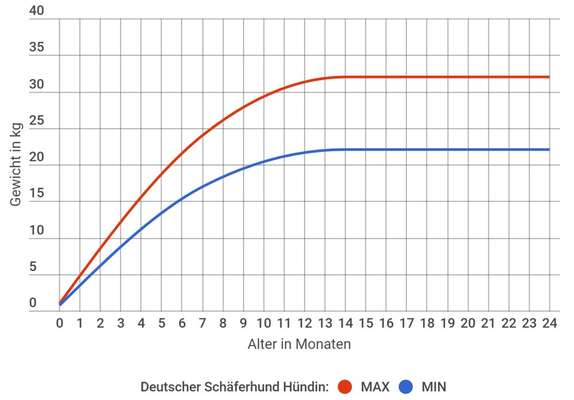 Der Gewichts-Thread-Beitrag-Bild