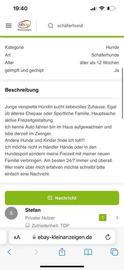 Alles rund um den Schäferhund, diskutieren erwünscht.-Beitrag-Bild