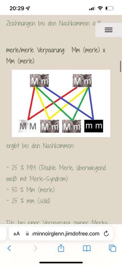 Qualzucht-Beitrag-Bild