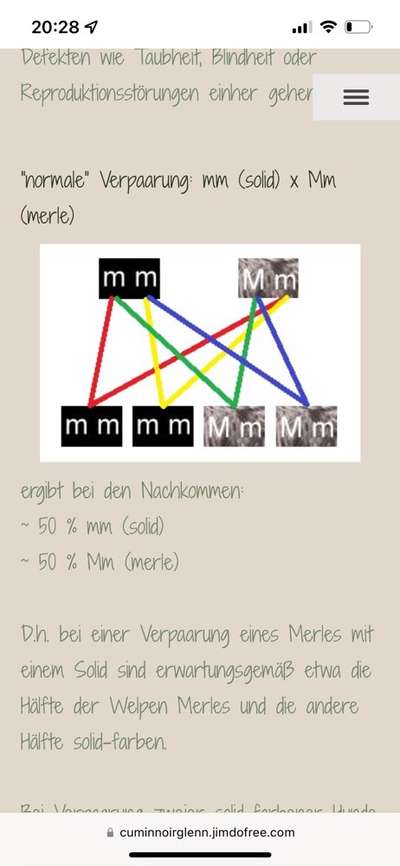 Qualzucht-Beitrag-Bild