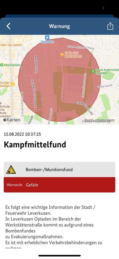 Alles rund um den Schäferhund, diskutieren erwünscht.-Beitrag-Bild