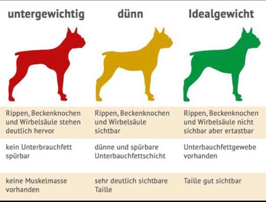 Der Gewichts-Thread-Beitrag-Bild