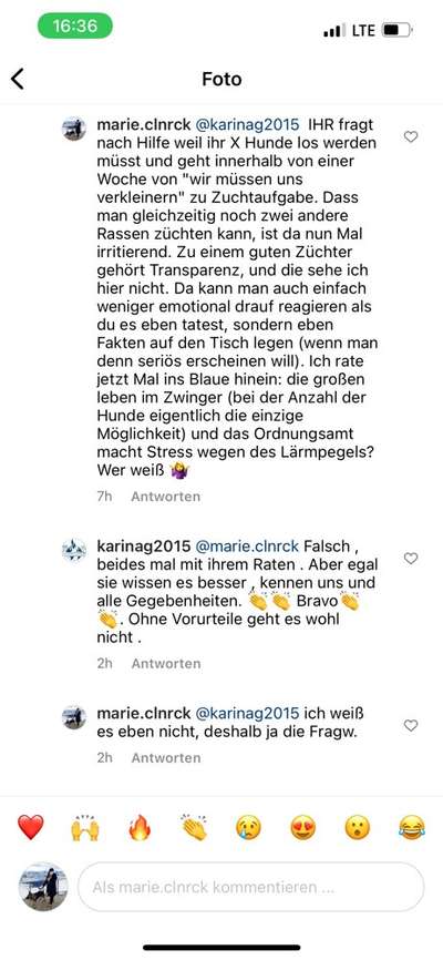 Alles rund um den Schäferhund, diskutieren erwünscht.-Beitrag-Bild