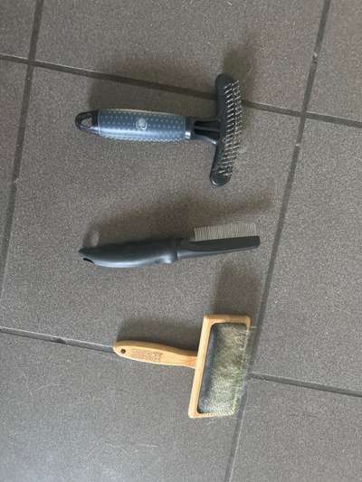 Alles rund um den Schäferhund, diskutieren erwünscht.-Beitrag-Bild