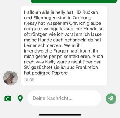 Alles rund um den Schäferhund, diskutieren erwünscht.-Beitrag-Bild