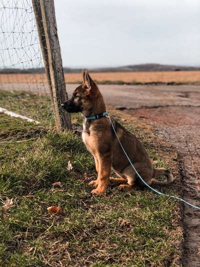 Sie werden so schnell erwachsen ...-Beitrag-Bild