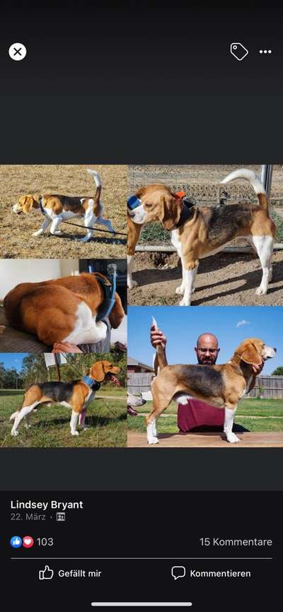 Der Gewichts-Thread-Beitrag-Bild