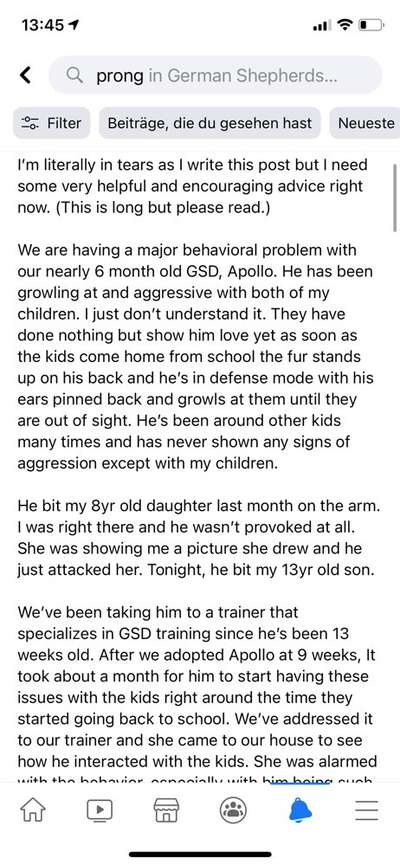 Alles rund um den Schäferhund, diskutieren erwünscht.-Beitrag-Bild