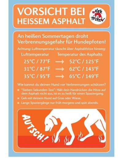 Alles rund um den Schäferhund, diskutieren erwünscht.-Beitrag-Bild