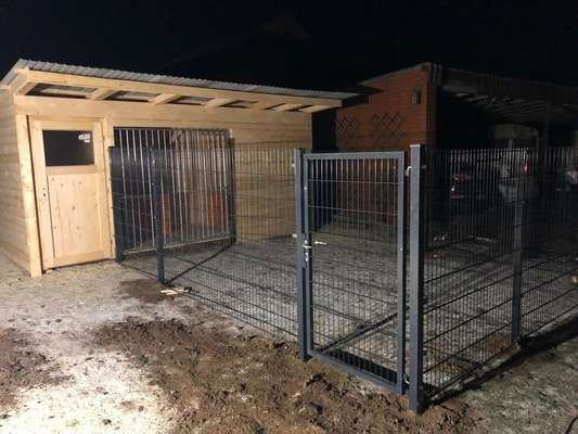 Alles rund um den Schäferhund, diskutieren erwünscht.-Beitrag-Bild