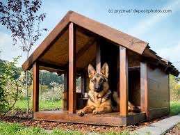 Alles rund um den Schäferhund, diskutieren erwünscht.-Beitrag-Bild