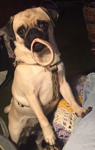 Lieblings Schnappschuss?-Beitrag-Bild