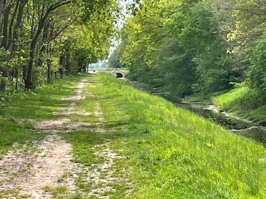 Hundeauslaufgebiet-Landschaftsschutzgebiet Hochmoor Wymeer-Bild