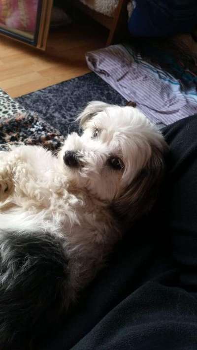 Lieblingsbild-Beitrag-Bild