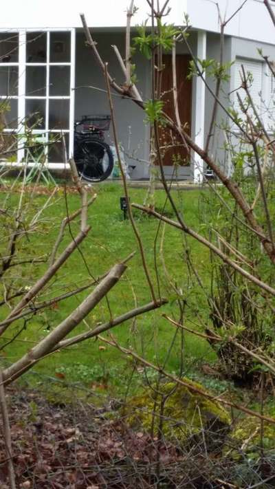 Giftköder-Tierschrecker auslegung-Bild