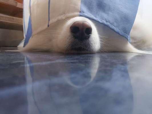 Ratespaß geht weiter-Beitrag-Bild