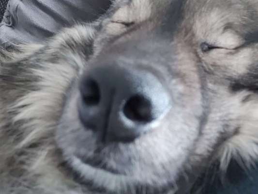 Ratespaß geht weiter-Beitrag-Bild