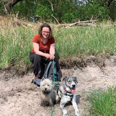 Hundetreffen-spielen und spazieren gehen-Profilbild