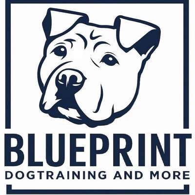 Hundeschule Blueprint - Dogtraining and More in Tornesch  – Dogorama