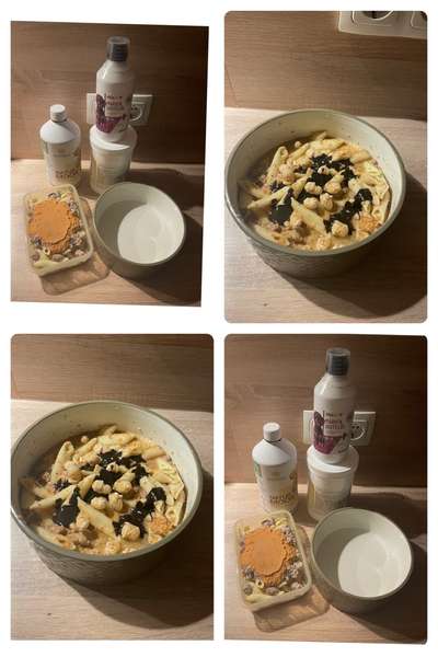 Zeigt her Eure Futternäpfe-Beitrag-Bild