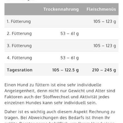 Welpe hat Dauerhunger?-Beitrag-Bild