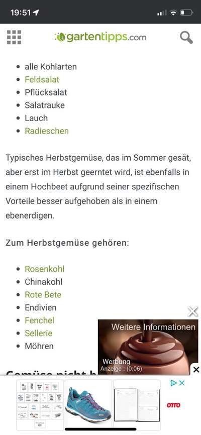 Windhunde - Treffen der besonderen Schönheiten
HERZLICH WILLKOMMEN-Beitrag-Bild