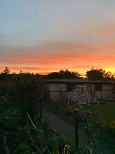 Windhunde - Treffen der besonderen Schönheiten
HERZLICH WILLKOMMEN-Beitrag-Bild