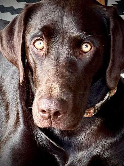 Fotochallange Nr. 57     PORTRÄT.   Beendet!!!!!!!!-Beitrag-Bild