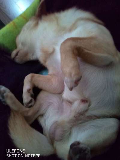 Die unbequemsten und lustigsten Schlafpositionen-Beitrag-Bild